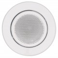 100mm Halogen Sized Ceiling Speaker